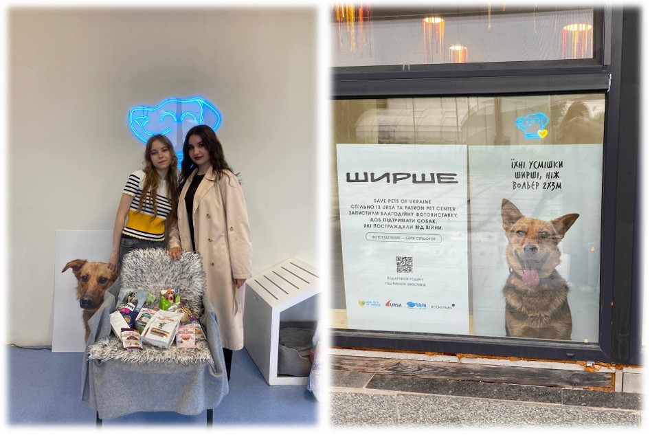 Продовжуємо допомагати «Patron Pet Centre» – центру адопції тварин з фронту